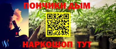 СК Гатчина