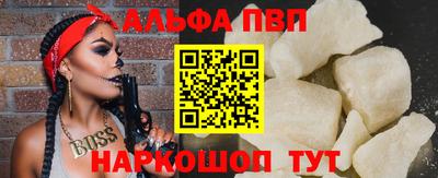 СК Гатчина