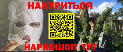СК Гатчина