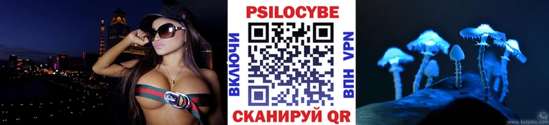 blacksprut сайт  купить  цена  Куйбышев  Галлюциногенные грибы мухоморы 