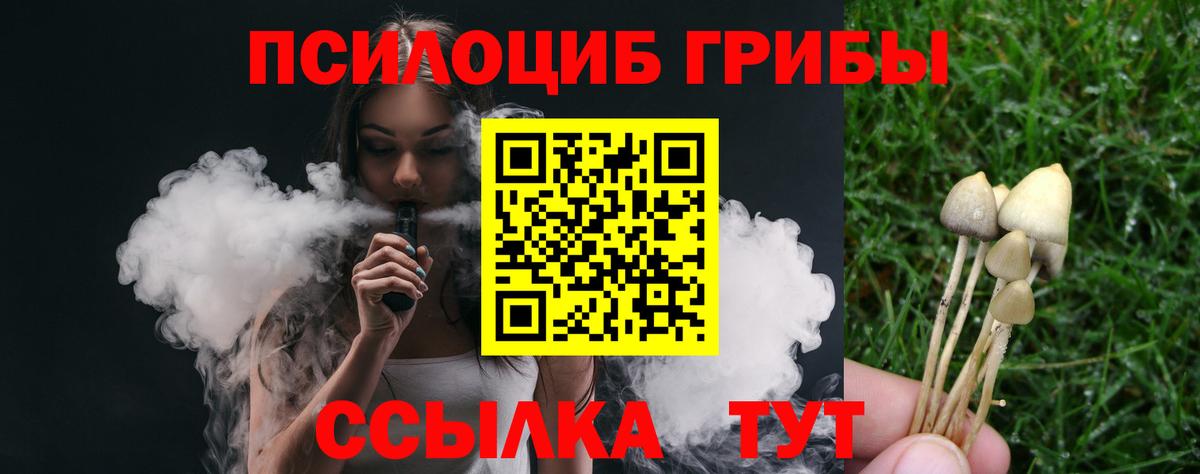 Галлюциногенные грибы Cubensis Куйбышев