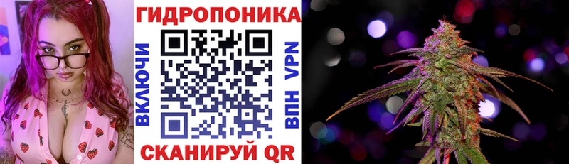 купить   Куйбышев  Бошки марихуана White Widow 
